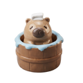 soaking capybara